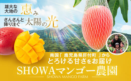 【B15002】【先行受付】肝付町産　完熟マンゴー　ご褒美セット