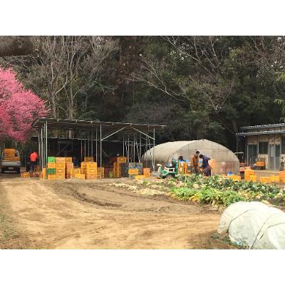 ふるさと納税 蓮田市 篠山堂　翁味噌セット(5種) |  | 01