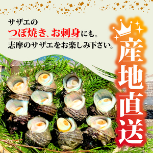サザエ 1kg 入り / 新鮮 海鮮 海産物 魚介 魚貝 サザエ 栄螺 貝 刺身 刺し身 お造り つぼ焼き グリル BBQ バーベキュー キャンプ 夏 ギフト 贈り物 志摩産 特選 三重 志摩 伊勢志