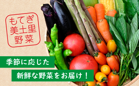 茂木町産 朝採れ 季節の野菜詰め合せ | 野菜詰め合せ 野菜詰め合せ 野菜詰め合せ 野菜詰め合せ 野菜詰め合せ