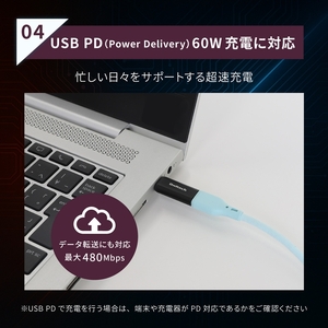 Owltech(オウルテック) マグネットで簡単ワンタッチ接続 PD60W充電／データ転送 USB Type-C 変換アダプタ（コネクタ）OWL-CBCMC01-BK　ブラック【 神奈川県 海老名市 