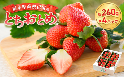 
            栃木県高根沢町産とちおとめ 260g×4パック ※北海道・沖縄・離島への配送不可 ※2026年1月中旬～3月下旬頃に順次発送予定 | 栃木県いちご 高根沢町いちご とちおとめいちご 苺 イチゴ ストロベリー いちご 苺栃木県 苺高根沢町 いちご栃木県産 いちご高根沢町産 栃木産イチゴ 高根沢町産イチゴ とちおとめ栃木県 とちおとめ高根沢町 イチゴ栃木県 イチゴ高根沢町 栃木県とちおとめ トチオトメ
          