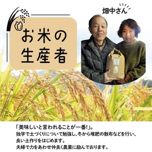 【3回定期便】減農薬米 特別栽培米 畑中さんの ひのひかり 玄米10kg ヒノヒカリ 奈良県 三宅町