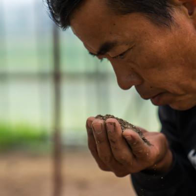 ふるさと納税 南魚沼市 令和7年産　南魚沼産　笠原農園米　コシヒカリ無洗米真空パック(450g×20個) |  | 01