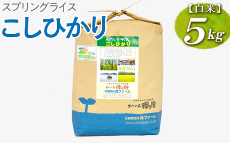 【新米】スプリングライス こしひかり (白米)5kg | 米 こめ コメ ご飯 単一米 国産 茨城県産 ※2026年9月～発送 _BI25