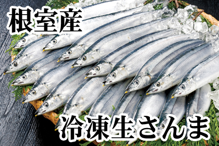 【北海道根室産】冷凍さんま20尾 A-70003