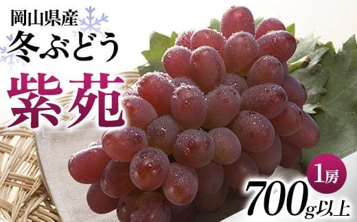◆先行受付◆　岡山県産　冬ぶどう「紫苑」　2025年発送【1350315】