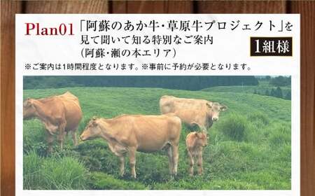 【ふるさと納税限定】 ～食べることは生きること～熊本阿蘇地域の未来につながる、阿蘇のあか牛・草原牛に学ぶサステナブルなコト体験 （特別なご案内1組） チケット 体験 サステナブル