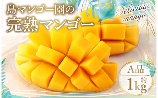 【2025年発送】徳之島 天城町【贈答用】島マンゴー園 完熟マンゴー Ａ品 1kg マンゴー フルーツ BA-1-N