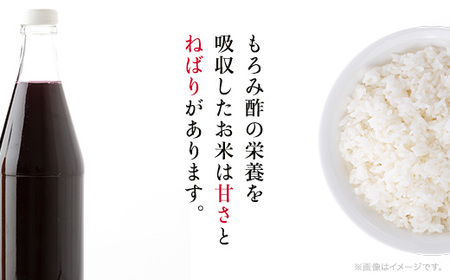 自然が育んだ美味しいお米◆もろみ米◆コシヒカリ令和5年産　計6kg【1320439】