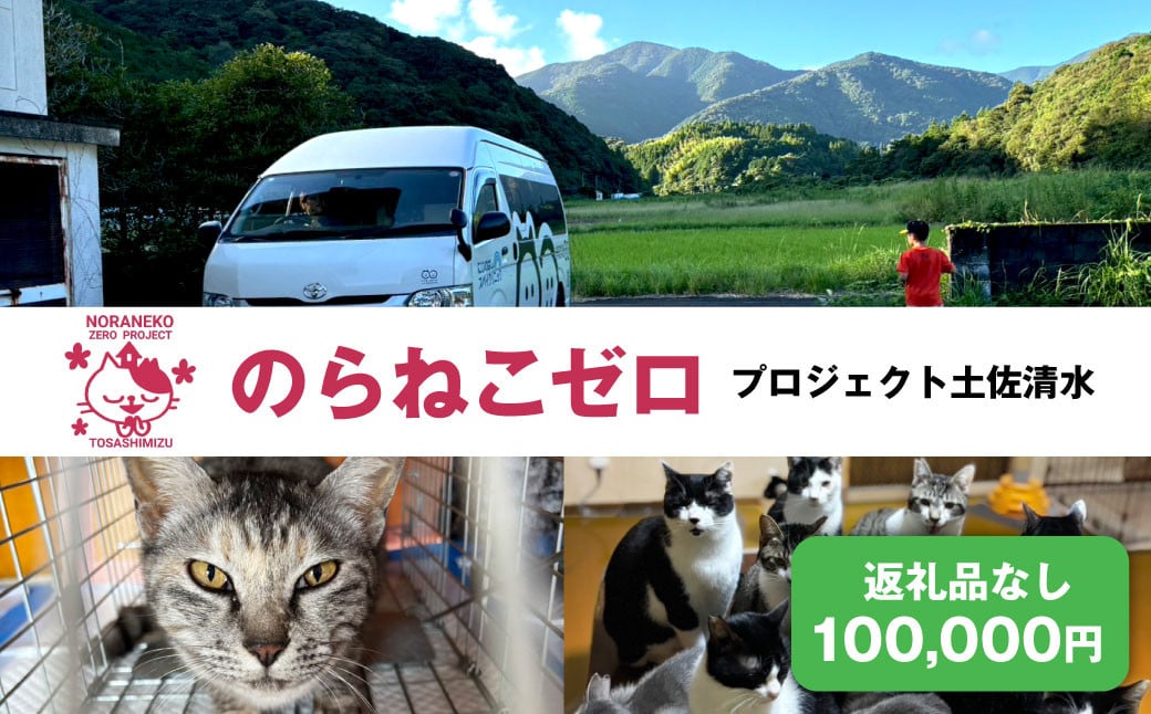 
            のらねこゼロプロジェクト 一口 100,000円（30,000円分）返礼品なし 保護猫 ネコ 猫 ねこ 動物 保護 愛護 TNR活動応援 支援 寄付 殺処分ゼロ クラウンドファンディング クラファン【R01386】
          