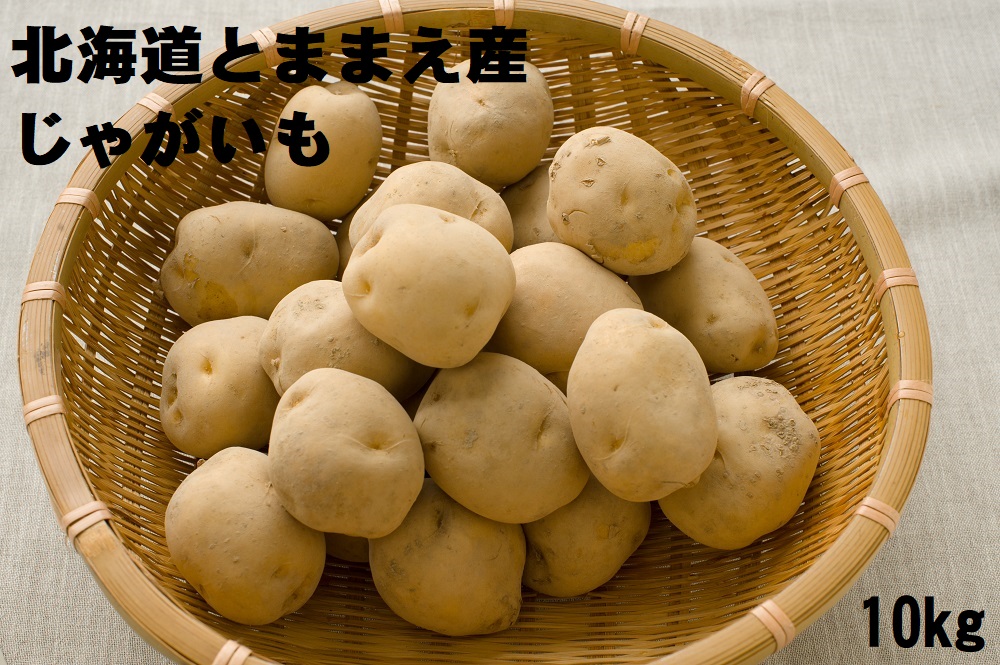 【令和7年産先行受付】北海道とままえ産じゃがいも（男爵）　10kg