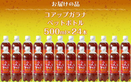コアップガラナ24本セット（500mlペットボトル） 【 ふるさと納税 人気 おすすめ ランキング コアップガラナ ガラナ 道産子ソウルドリンク 北海道代表 ご当地 北海道 七飯町 送料無料 】 NA