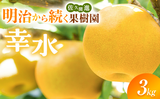 【2026年出荷分先行予約】明治から続く果樹園の梨「幸水」3kg（玉数おまかせ） なし 果物 くだもの デザート ギフト ナシ 甘い フルーツ 福島県 白河市 F24R-217