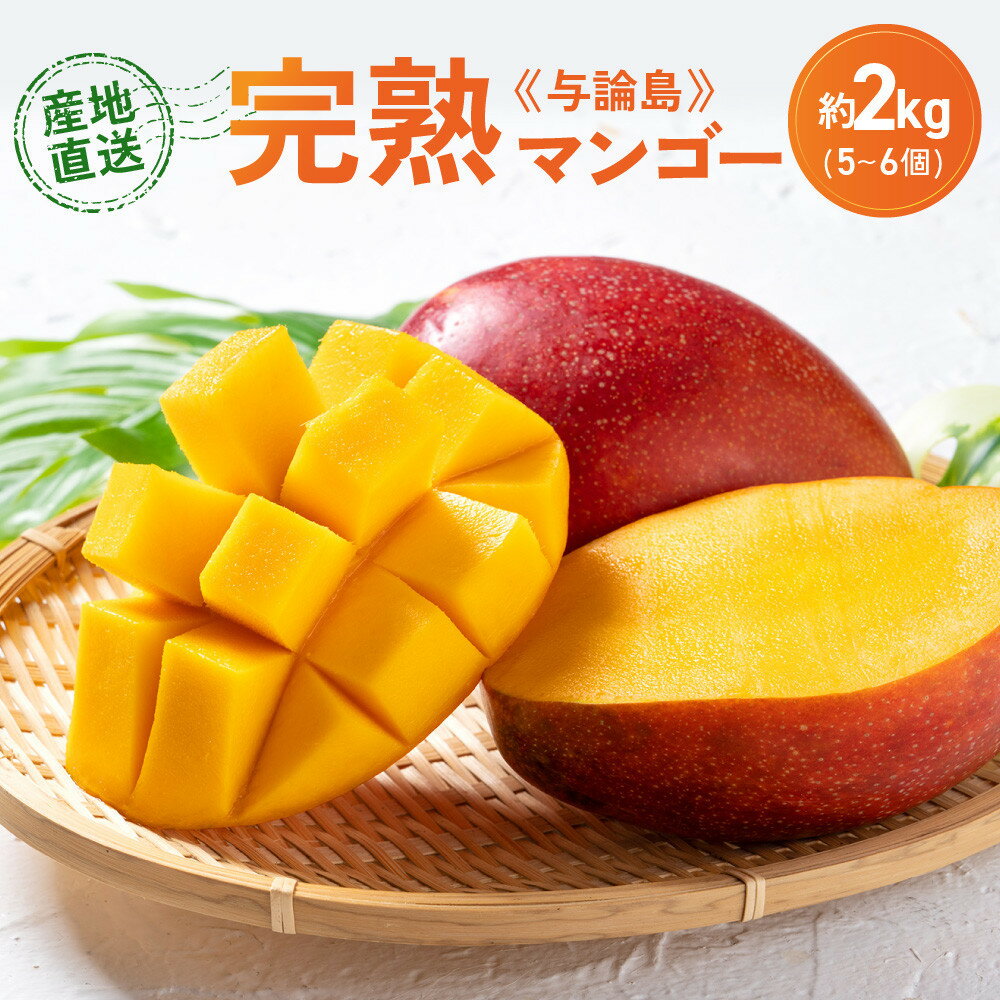 【ふるさと納税】「2026夏発送」★厳選★ 完熟 与論島マンゴー 2kg（5～6個）【数量限定】【産地直送】【先行予約】