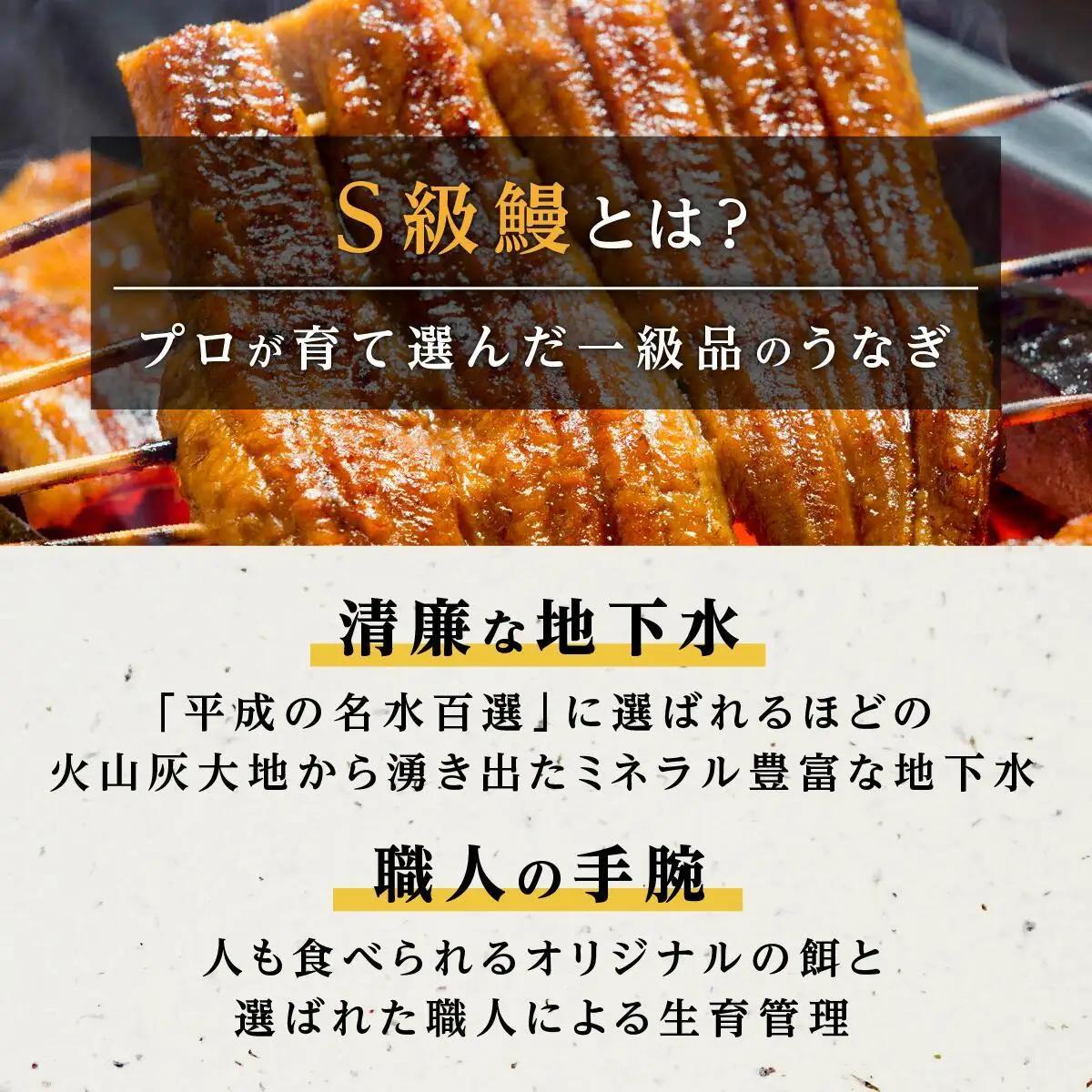 横山桂一さんのS級 鰻 大３尾（計450g）| うなぎ うなぎ