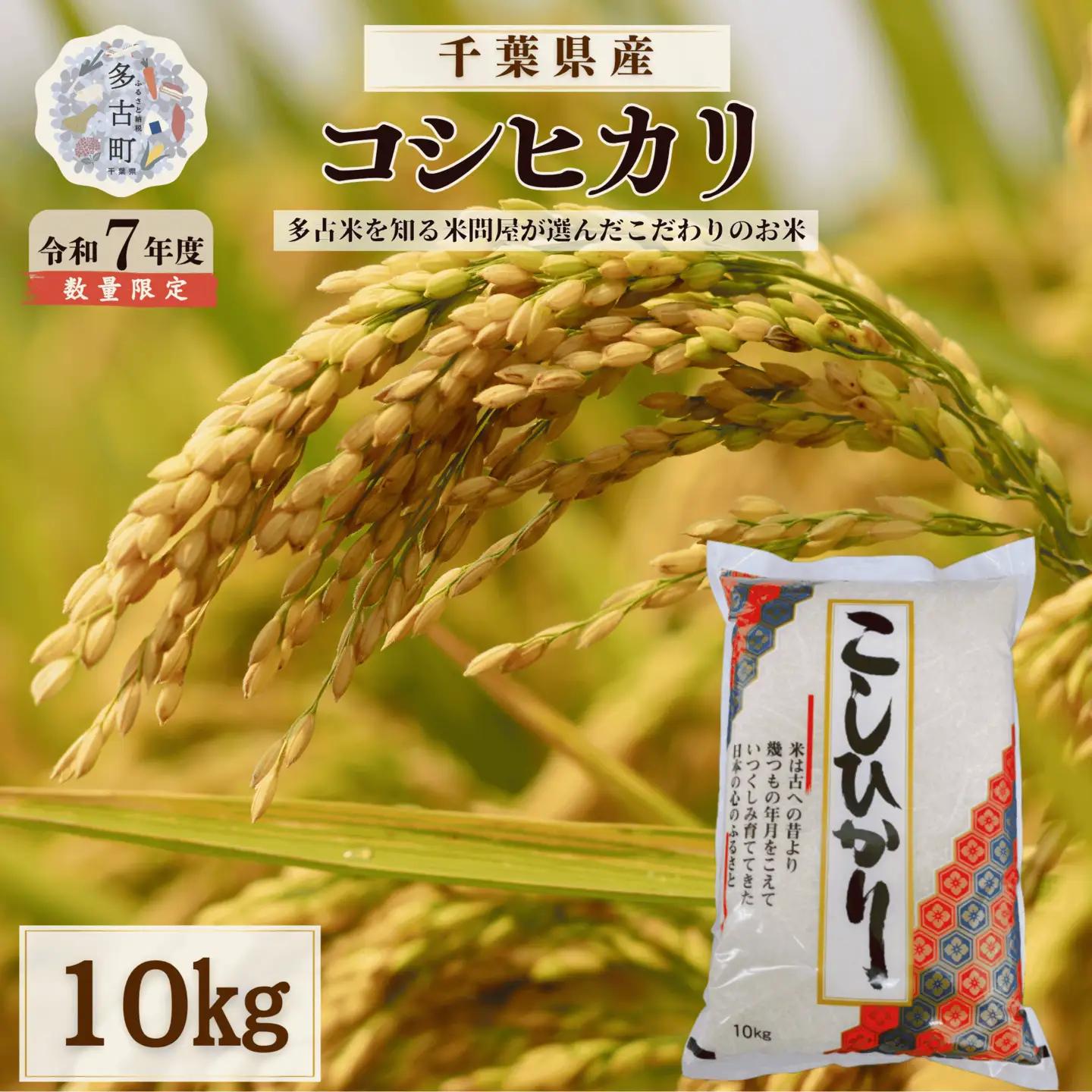 ＜令和7年産＞千葉県産 コシヒカリ 精米 10kg（10kg×1袋）【配送不可地域：離島・沖縄県】MT207674_021001