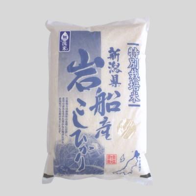 ふるさと納税 村上市 【数量限定・訳あり】【令和7年産米】《無洗米》特別栽培米 新潟県村上市岩船産 コシヒカリ5kg　17