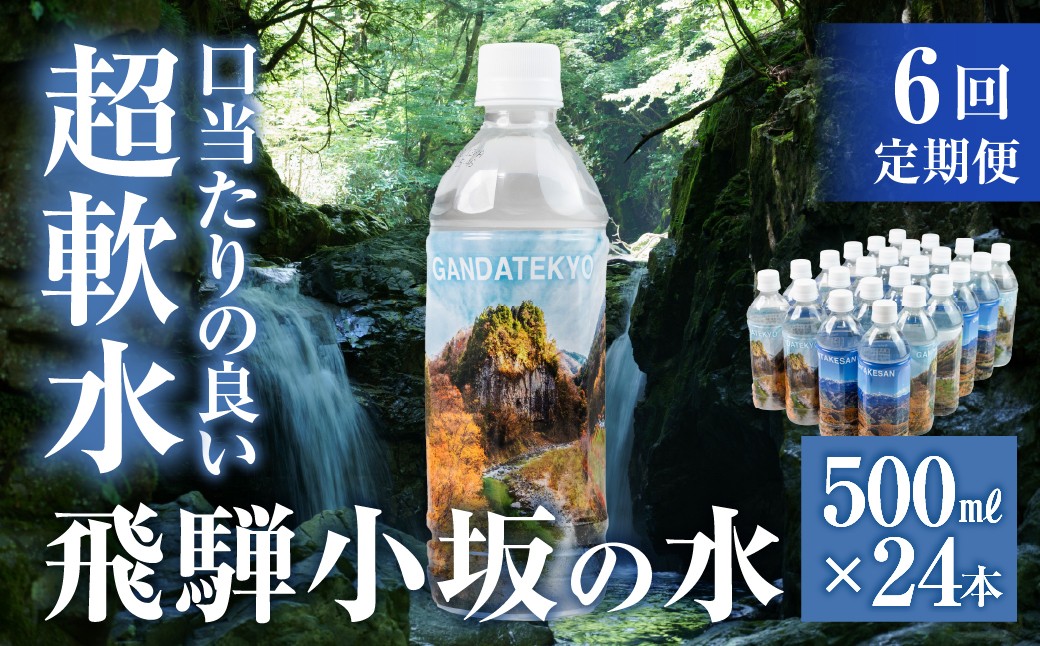 
            【定期便 6回】飛騨小坂の水（ナチュラルミネラルウォーター）500ml×24本（1箱24本入り）× 6カ月 ミネラルウォーター ペットボトル 超軟水 軟水 水 保存水 下呂市 小坂 飛騨
          