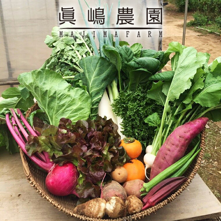 【ふるさと納税】季節 おまかせ 野菜 6品〜8品 セット 詰め合わせ 眞嶋農園 沖縄及び離島へのお届けはできません