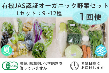 野菜 オーガニック 野菜 レギュラーサイズ 野菜セット 有機JAS認証 有機野菜 ９～１２袋 しあわせ野菜畑 6337