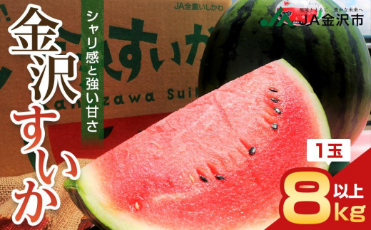 スイカ【先行予約】 金沢すいか（大玉すいか）1玉 8kg以上 JA金沢市 ｜ 金沢市 シャリ感 フルーツ 果物 人気 おすすめ スイカ 季節限定 お取り寄せ 通販 送料無料 ふるさと納税 リピーター 産地直送 水分補給 熱中症対策 食品 夏 野菜 新鮮 産地直送 甘い ジューシー 高級 ギフト プレゼント お取り寄せ 家庭用 贈答用 夏季限定 ジュース用 デザート用 石川 金沢 加賀百万石 北陸復興 北陸支援