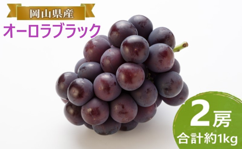 ぶどう 【2026年 早期受付】 オーロラブラック 2房 合計約1kg ブドウ 葡萄 岡山県産 国産 フルーツ 果物 ギフト
