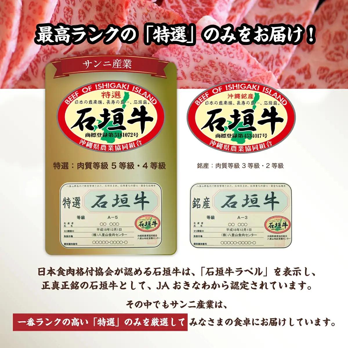 石垣牛 ハンバーグ セット (100g×10個)＜2027年5月発送＞
