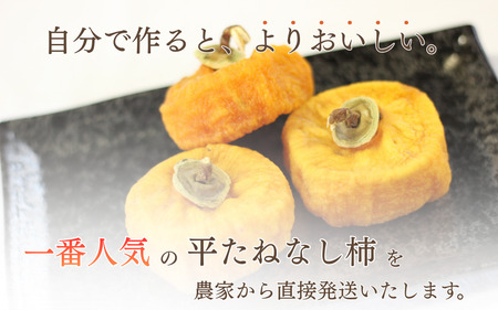 柿 生渋柿たね無 あんぽ柿用T軸枝無 約1.5～2kg　6～12個【2026年10月中旬～11月上旬ごろ順次発送】【ART14】【G210-art018B】