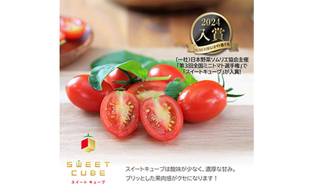 【2026年先行予約】高糖度 プレミアムミニトマト スイートキューブ エグゼクティブ 300g ≪2026年3月〜6月発送予定≫ さかほぎ農場 F6M-130