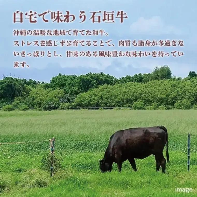 石垣牛 サーロインステーキ 400g（約200g×2） （AG017）