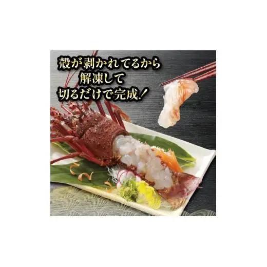 【 伊勢海老 】 伊勢海老刺身用1kg