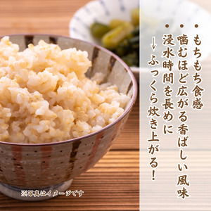 利根町産　コシヒカリ　玄米　5kg ／ 米 こめ コメ お米 おこめ コシヒカリ こしひかり 令和7年産 新米 玄米 ごはん ご飯 5kg 健康志向 茨城県 利根町 産地直送 送料無料