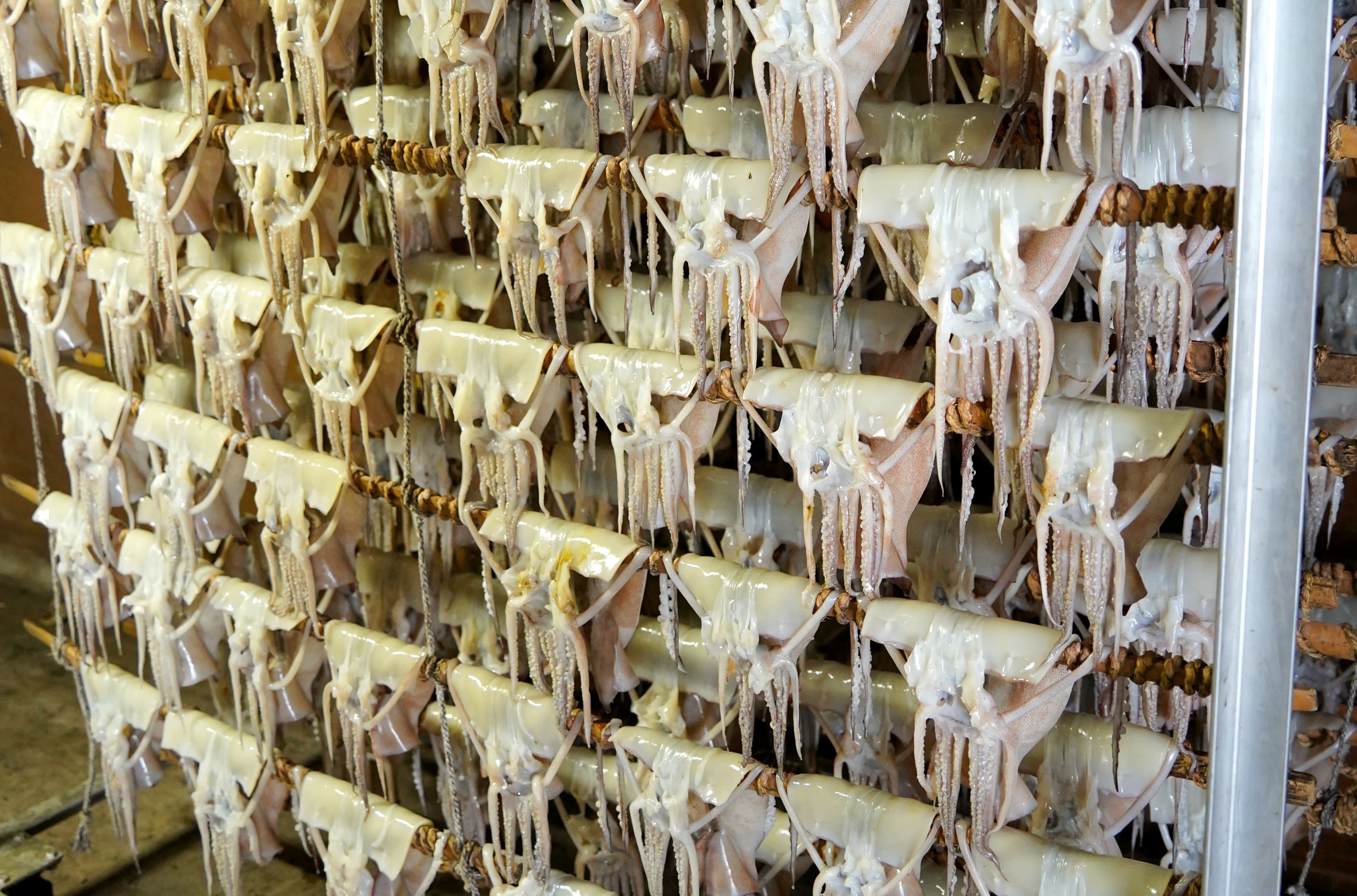 肉厚するめ 4枚入り せたな町 ふるさと納税 