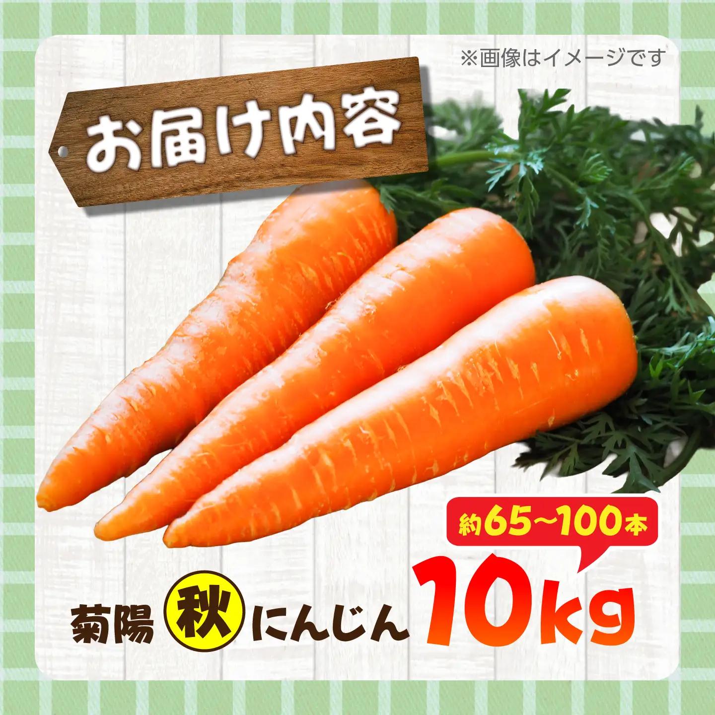 【先行予約】【12月中旬より順次発送】菊陽秋冬にんじん 秀品 約10kg / にんじん 菊陽にんじん 西洋にんじん ニンジン 人参 野菜 熊本 菊陽 【マツモト：ファーム】[BHDH009]