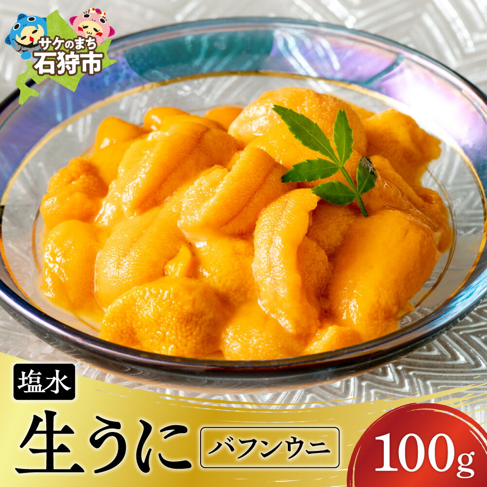 【ふるさと納税】《レビューキャンペーン》【目利きの達人セレクト】塩水 生うに 100g 北海道 浜中産 浜中町 うに バフンウニ 秋冬 最高級 希少 養殖 なめらか 濃厚 磯の香り 刺身 うに丼 海鮮丼 寿司 手巻き おつまみ ギフト 贈答 お取り寄せ 高級 海鮮 uni 北海道 石狩市