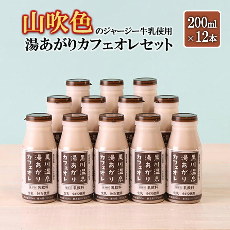 【ふるさと納税】 小国ジャージー牛乳 湯あがりカフェオレセット 200ml×12本 ミルクコーヒー ジャージー牛乳 乳製品 ドリンクギフト 贈答 セット 飲料 健康 熊本 阿蘇 小国郷 小国 最高金賞 ギフト 贈答 ご自宅用 送料無料