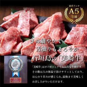 美崎牛を味わう！焼肉5種＆特製ハンバーグ よくばりセット | 牛肉 セット 和牛 黒毛和牛 沖縄 石垣 A5 オーガニック 幻の和牛 ギフト
