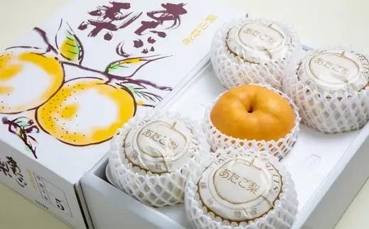 あたご梨 3～9玉 約4kg 家庭用 なし 梨 愛宕梨 ナシ 果物 フルーツ 果実 岡山県 倉敷市 【2025年11月下旬～12月下旬迄順次発送予定】