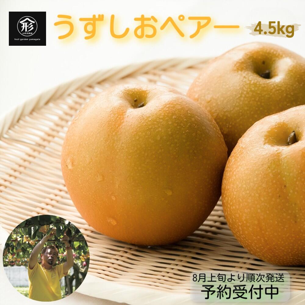 【ふるさと納税】【 予約受付中・2025年8月上旬頃より順次発送 】旬の品種をお届け！うずしおペアー 4.5kg 【数量限定】 徳島県産 和梨 幸水 豊水 新高 国産 鳴門 フルーツガーデンやまがた