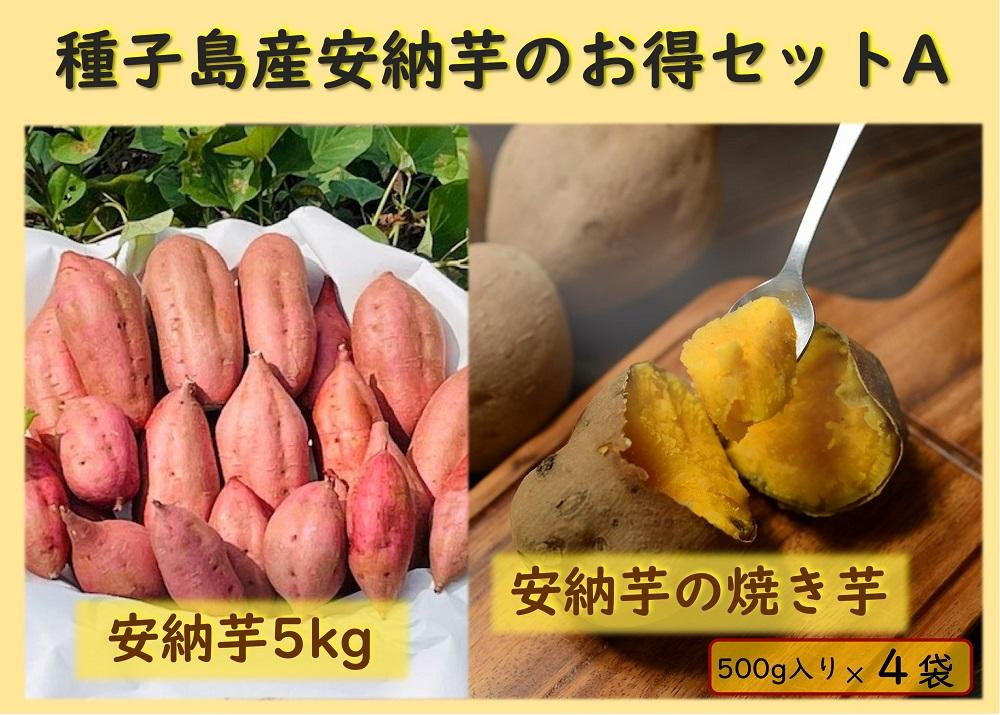 
            種子島産安納芋のお得セットA（安納芋5kg＋冷凍焼き芋500g×4袋）【安納芋 安納いも 焼き芋 焼芋 やきいも さつまいも さつま芋 冷凍焼き芋 冷凍焼芋 冷凍安納芋 冷凍安納いも スイーツ デザート おやつ 冷凍 熟成 蜜 しっとり 甘い 鹿児島県 種子島 中種子町 種子島安納 N153】
          