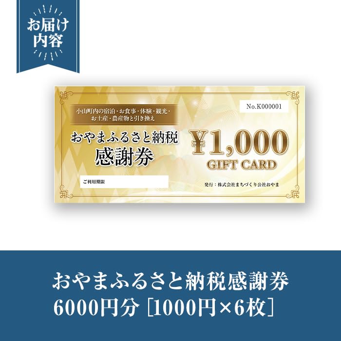 おやま ふるさと納税 感謝券 6,000円分（1,000円券×6枚） 食事券 利用券 商品券 チケット 券 ギフト券 食事 感謝券 共通利用券 静岡県 旅行