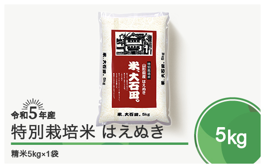 
令和5年産 米 はえぬき 5㎏ 大石田町産 特別栽培米 精米
