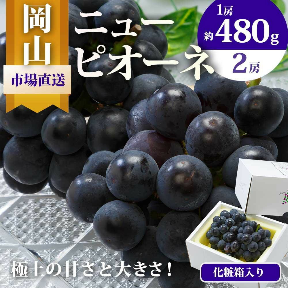 【ふるさと納税】【内容量が選べる】ぶどう 2026年 ニュー ピオーネ 2房（1房480g以上）約1kg又は2房（1房600g以上） 化粧箱入り | フルーツ 果物 くだもの 食品 人気 おすすめ 送料無料