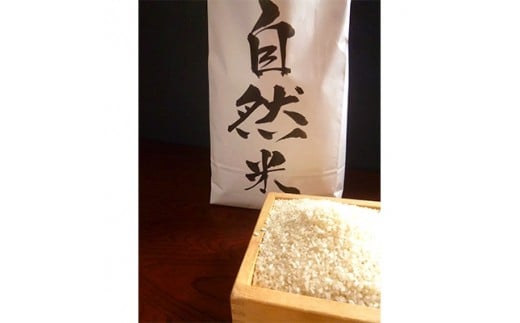 
＜令和5年産＞自然米 (白米3.8kg)【1066041】
