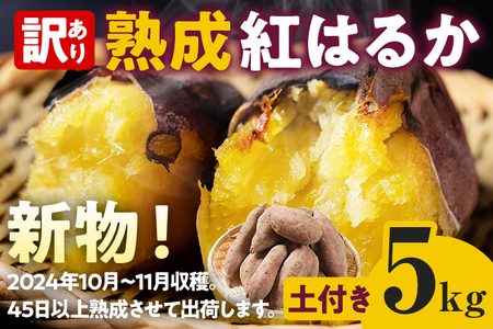 訳あり 熟成 紅はるか 5kg 芋 サツマイモ さつまいも さつまいも さつまいも さつまいも さつまいも