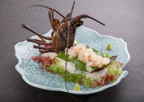 [活き〆冷凍]肝付町内之浦産伊勢海老(えっがね)の刺身<超特大サイズ>