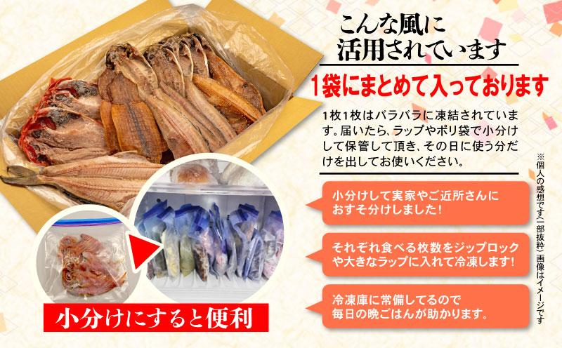 【2024年6月発送】訳あり 干物 2.2kg 詰め合わせ セット 沼津 からお届け ホッケ 金目鯛 アジ サバ カレイ 赤魚 醤油干し フィレ 冷凍 ひもの 規格外 不揃い