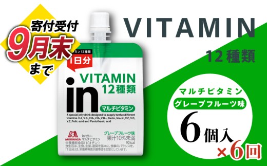定期便 6回 ゼリー飲料 栄養補給 inゼリー マルチビタミン 6個入り グレープフルーツ 味 インゼリー ゼリー まとめ買い 森永製菓 森永 栄養補給 ビタミン 10秒チャージ スポーツ 飲むゼリー 間食 小腹 非常食 杉山 180g×6個×6回 エネルギー補給 常温保存 三島市 静岡県