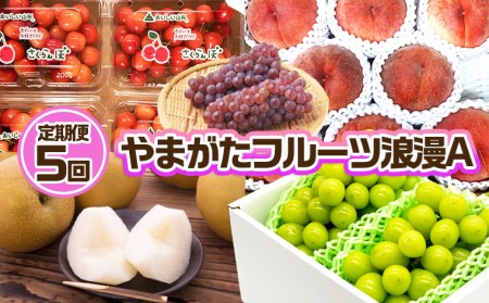 【定期便5回】やまがた フルーツ浪漫A 佐藤錦・デラウエア・白桃・和梨・シャインマスカット 【令和7年産先行予約】FU23-031 くだもの 果物 フルーツ 山形 山形県 山形市 2025年産